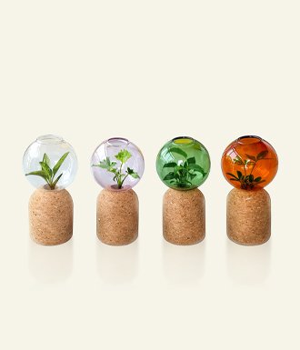 QQ-vase
