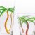 PALM