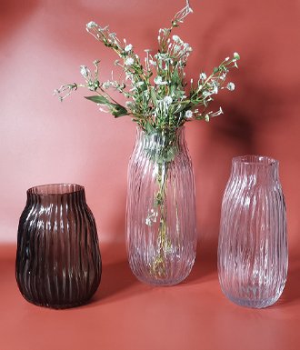 VASE3